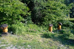 DSC00059
