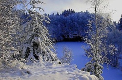 IMG_8734(3)