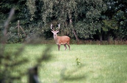 imm005_7